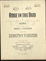 [1907] Rose in the bud : song